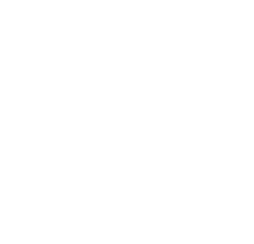 ROMAPLAST